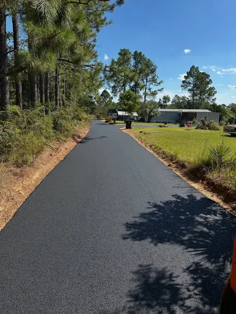 Long new asphalt driveway between pine trees on a rural property