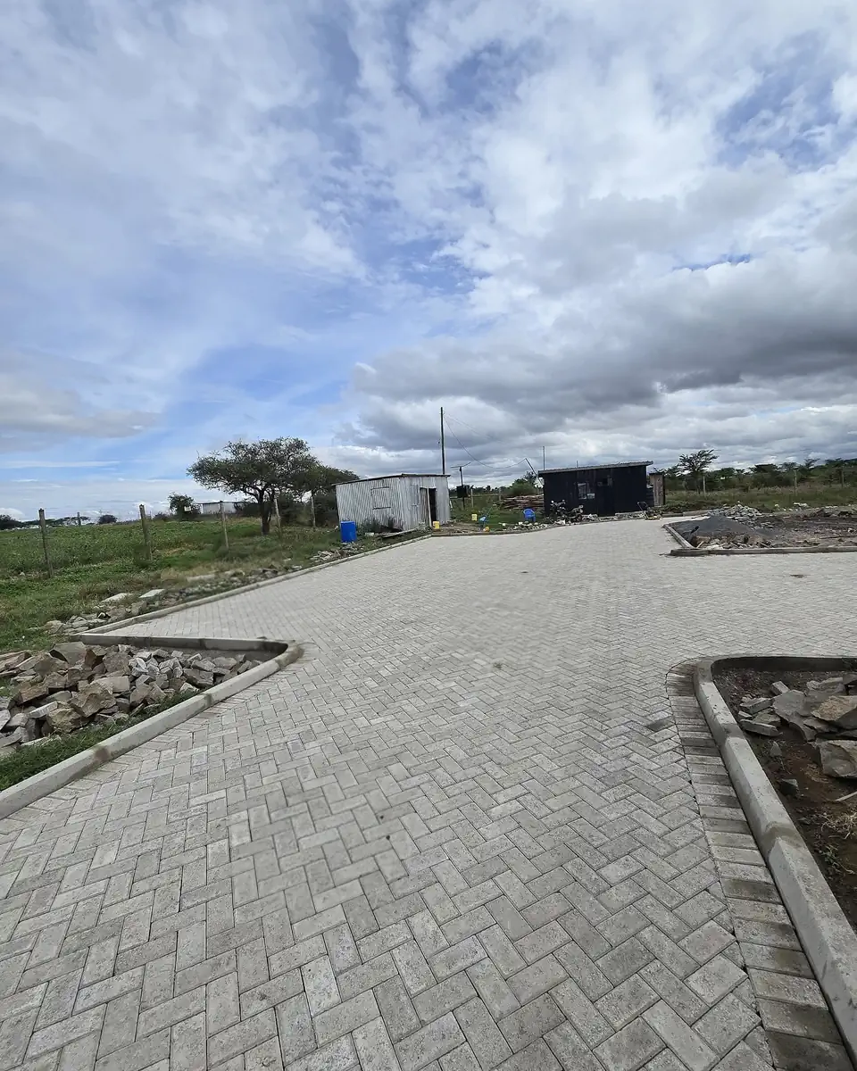 Herringbone paver driveway with curved concrete edge restraints