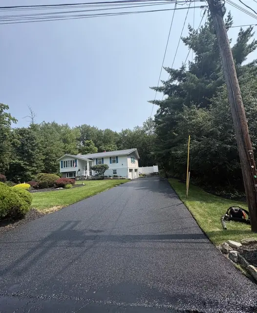 Narrow asphalt driveway paved through a wooded residential lot